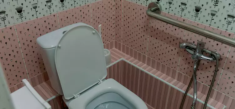Meeting Diverse Needs With Accessible Restroom Solutions in Wildomar, CA